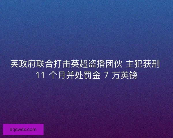 英政府联合打击英超盗播团伙 主犯获刑 11 个月并处罚金 7 万英镑